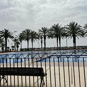 Palmeras Algarrobo Costa